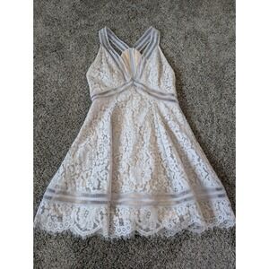 Keepsake Light Blue Floral Lace Fit and Flare Mini Dress V-Neck